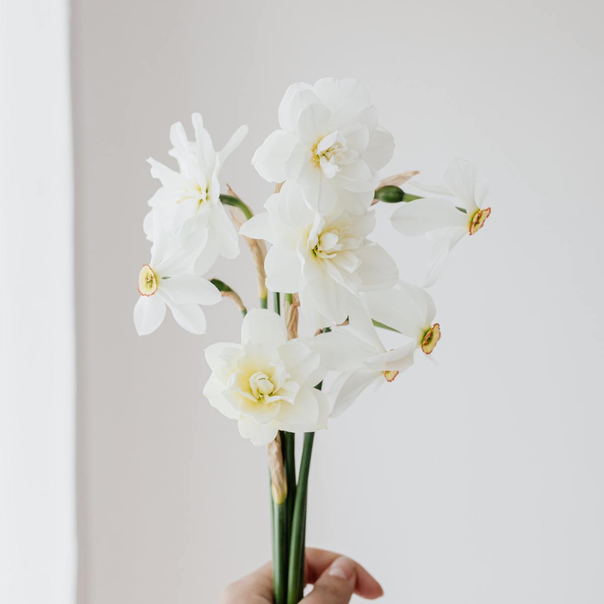 Easter gifts they’ll love—and your wallet will,&nbsp;too!